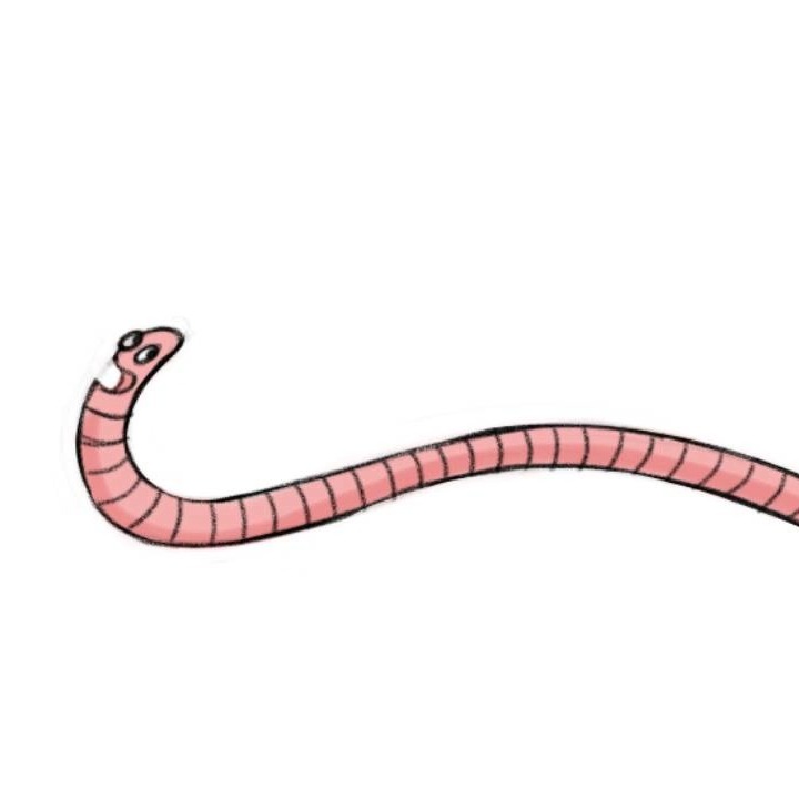 runner worm