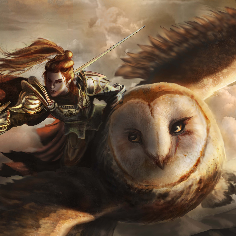 Owl Runner